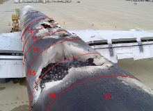  NTSB wasn't able to determine whether lithium batteries aboard this UPS cargo aircraft caused the fire that destroyed the plane in February 2006 after it landed safely in Philadelphia, but it concluded they could pose a fire hazard. (NTSB photo)