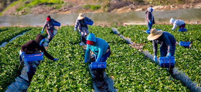 DOL Devotes $6.5 Million in Grants to Improve Housing for Migrant Farmworkers
