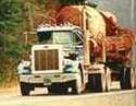ATA wants fleet members to share their 2009 safety experience so FMCSA can see how the current hours rule is working.