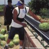 Seminar participants will receive information about Californias heat illness prevention program.