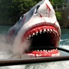 Universal Studios announced the closure on Dec. 2, 2011, on its Facebook page.