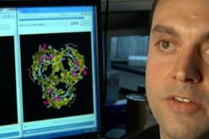 This screen capture comes from the Michigan State University/Jeremy Polk, National Science Foundation video in which Meyer discusses the research.