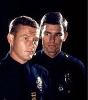 Television police dramas helped to make some ten codes, such as 10-4, part of common American usage.
