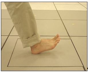 Figure 2. Interface between a human foot and a force plate