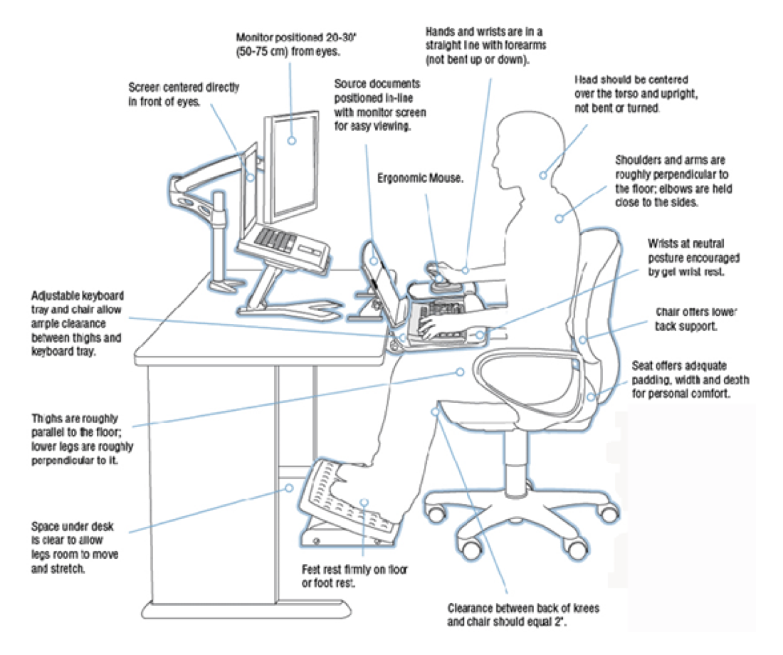 Importance of Ergonomic Seating, Ergonomics