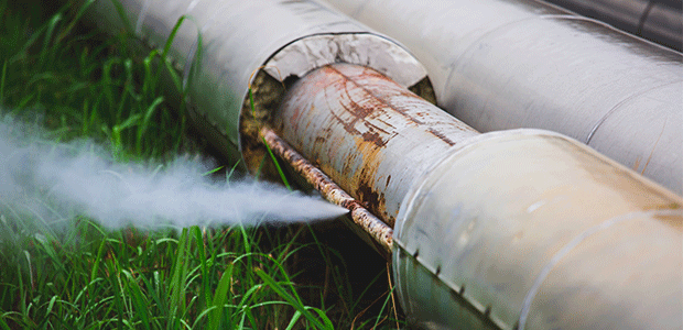 Poultry Plant Gas Leak Under OSHA Investigation -- Occupational Health & Safety - Vimarsana News