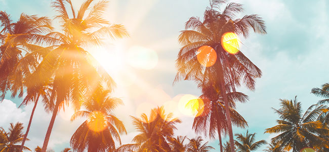 Florida Legislature Faces Backlash for Banning Heat Safety Measures -- Occupational Health & Safety - Vimarsana News