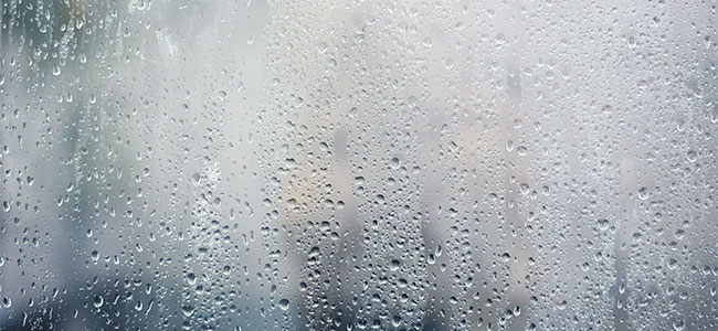 Key Steps for Addressing Mold and Moisture to Maintain Indoor Air Quality -- Occupational Health & Safety - Vimarsana News
