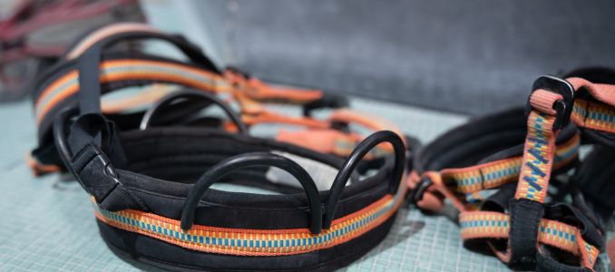 Harness