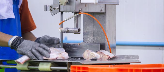 Factory worker using electric band saw machine to cut frozen fish