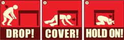 ShakeOut participants are asked to Drop, Cover, and Hold On as if a major earthquake were occurring.