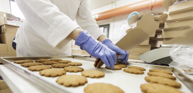 Food service workers face a variety of hazards, so no glove provides universal protection.