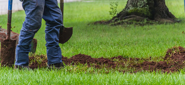 Creating a Safety Culture Within a Landscaping Company