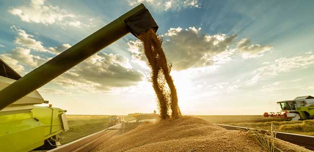 OSHA Signs an Alliance to Protect Workers from Grain Handling Hazards