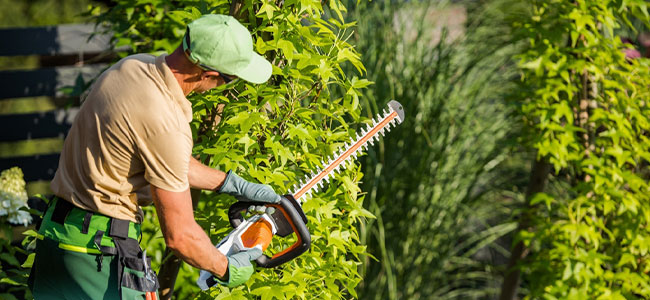 OSHA Launches Regional Emphasis Program Targeting Safety in Landscaping Industry