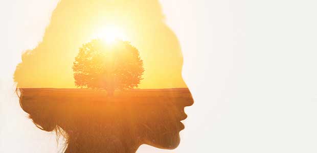 silhouette of person with hair in a bun and image of sun setting on tree in field inside silhouette