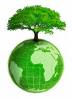 green tree on a green Earth, symbolizing green jobs