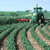 ASSE offers tips to prevent farming injuries.