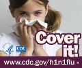 This image is displayed on a page from the health care system offering H1N1 information for patients and families.