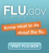 This HHS widget leads to the best federal government site for updated flu information.