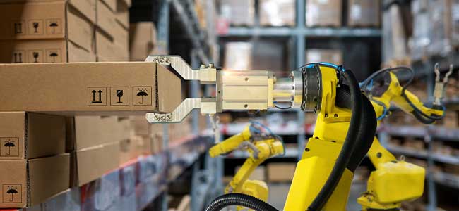 Empowering Workers in the Age of Automation