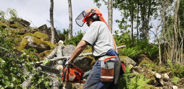 The U.S. Forest Service plans to develop a National Sawyer Database to be used to track national sawyer certifications for those who have met the training and evaluation requirements in the use of the saws. Certifications will be recognized across the National Forest System.