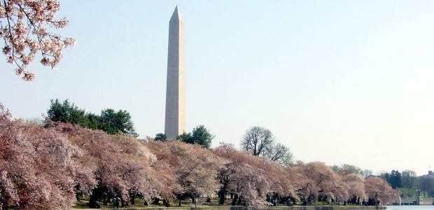FAA on March 18 released a new video reminding visitors that the National Cherry Blossom Festival is a "no drone zone." There is a ban in effect against flying any type of unmanned aircraft without specific approval in the District of Columbia and cities and towns within a 15-mile radius of Ronald Reagan Washington National Airport. 