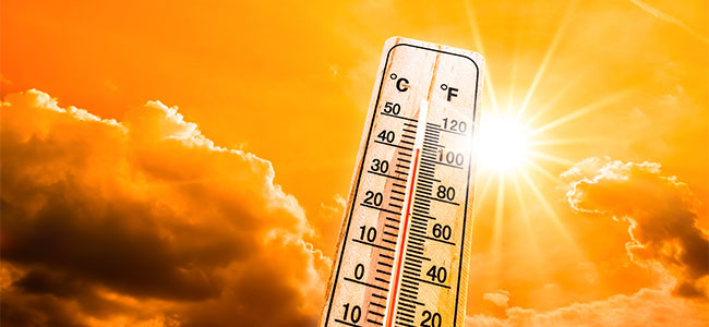 OSHA Finds Florida Labor Contractor Could Have Prevented Fatal Heatstroke Incident