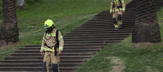 Firefighters Exercise on Steps