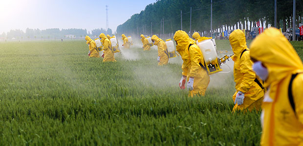 “Take Home” Contaminants: How Workplace Toxins Don’t Stay at Work