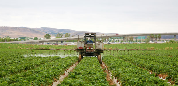 California Bans Chlorpyrifos After Concerns for Children’s Health 