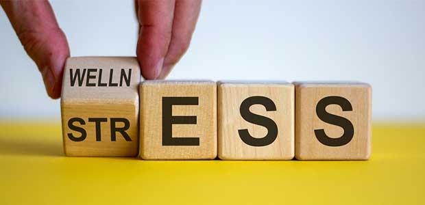 The Importance of Addressing Workplace Stress