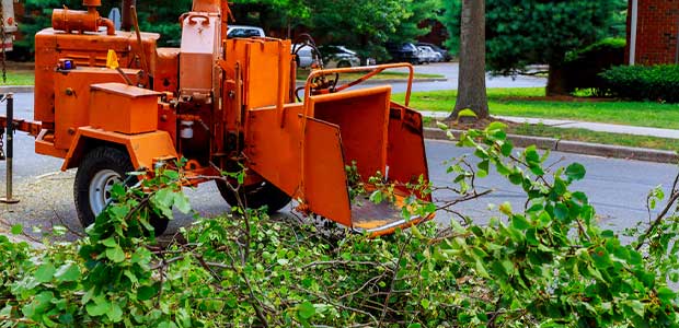 orange wood chipper sits unused with tree limbs in front of it