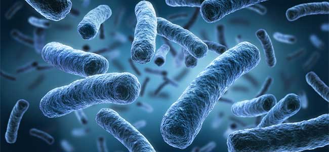 Legionella Management: Back to Basics