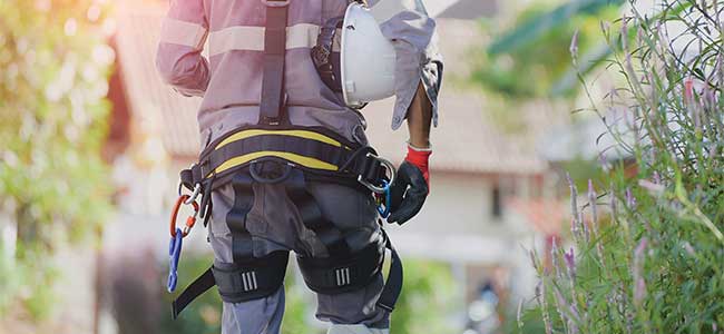 Keeping a Sharp Eye Out