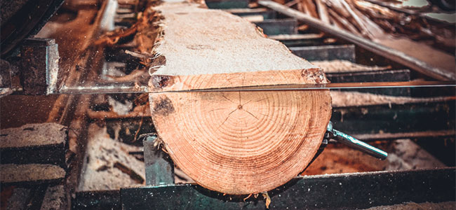 Wisconsin Sawmill Adheres to Child Labor Laws After Teen Worker