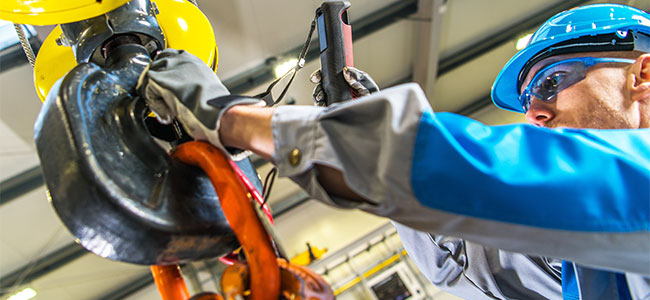 End Users Rally Behind Global Lifting Awareness Day 2024 Campaign