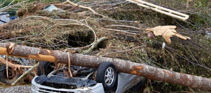 North Carolina Hurricane Helene Cleanup