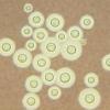 Cryptococcus neoformans