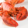 Lobster