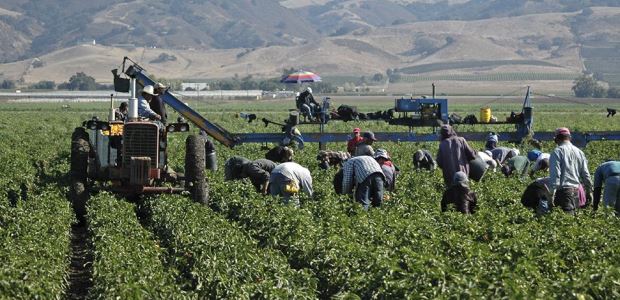 The most important solutions to heat stress are frequent rest and water breaks in the shade.