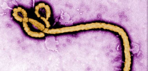 The free, web-based program will train health care providers on proper donning of PPE, safe removal of gear, and active monitoring skills.