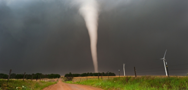 Members of the public can use the app