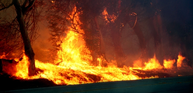 One of the new NFPA consent standards concerns respiratory protection for wildland firefighters.