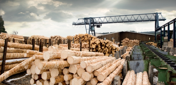 Sawmills are one of the industries with higher numbers or rates of amputations according to BLS data and on the OSHA NEP instruction