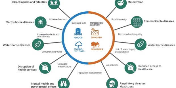The 2016 WHO report estimates 60 million people are affected by El Nino-related public health effects that include malnutrition and vector-borne diseases such as malaria.