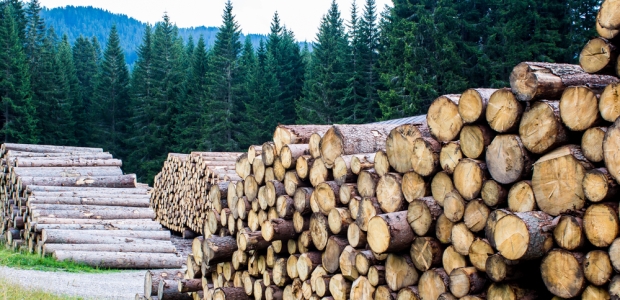 Employers throughout Oregon are invited to participate in the voluntary Safety Break. Businesses can decide what activities are most beneficial to their workforce.