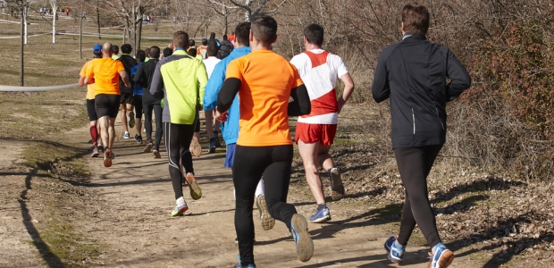 HHS is creating the Physical Activity Guidelines Advisory Committee this year as it plans for the 2018 publication of the second edition of the Physical Activity Guidelines for Americans.