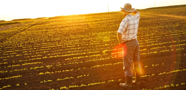 As the 2016 heat season approaches, Cal/OSHA leaders urged stakeholders April 11 to take precautions and protect outdoor workers against heat-related illnesses, or worse.