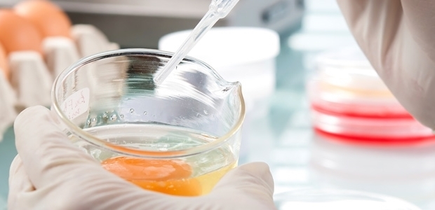 Two parts of the ISO 16140 series have now been published. (ISO photo)